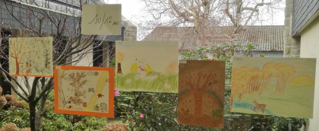  Concours sur le thème de l’automne - Résultats - Actualités 